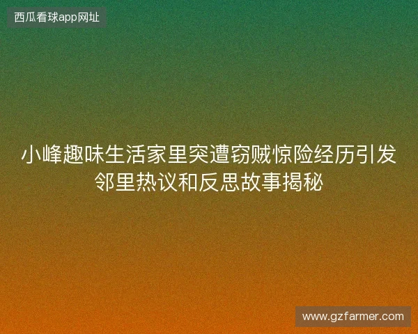 小峰趣味生活家里突遭窃贼惊险经历引发邻里热议和反思故事揭秘